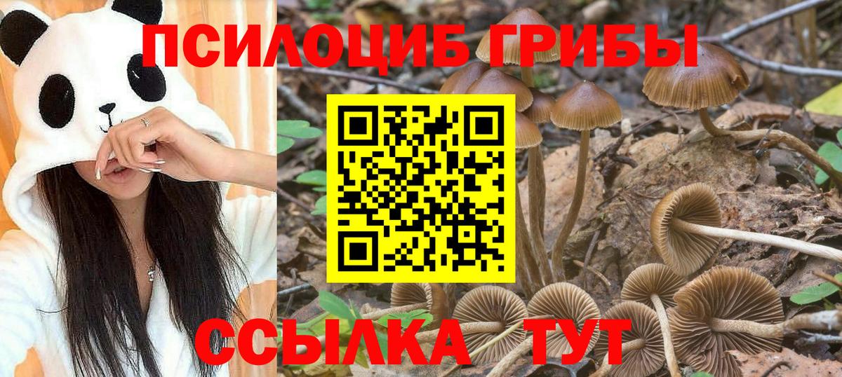 Алушта  Псилоцибиновые грибы прущие грибы  Вход с VPN 